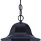 Homeroots 19.5 x 9 x 9 in. Milano 3-Light Oil-Rubbed Bronze Hanging Light 397989 - alternate 2